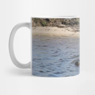 Alligator Swimming in the Water Mug